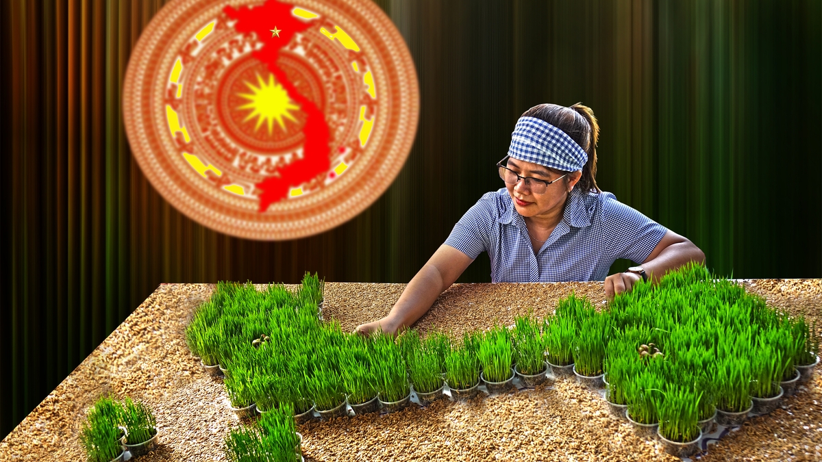 Việt Nam luôn ở trong tim tôi