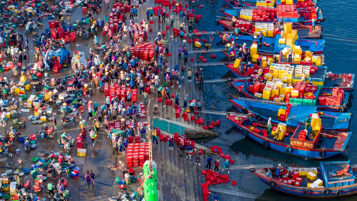 Nhộn nhịp chợ cá Cửa Lò