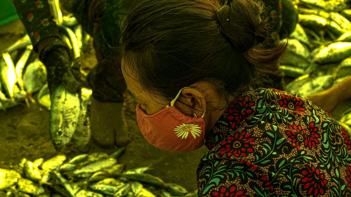 Quà của biển !