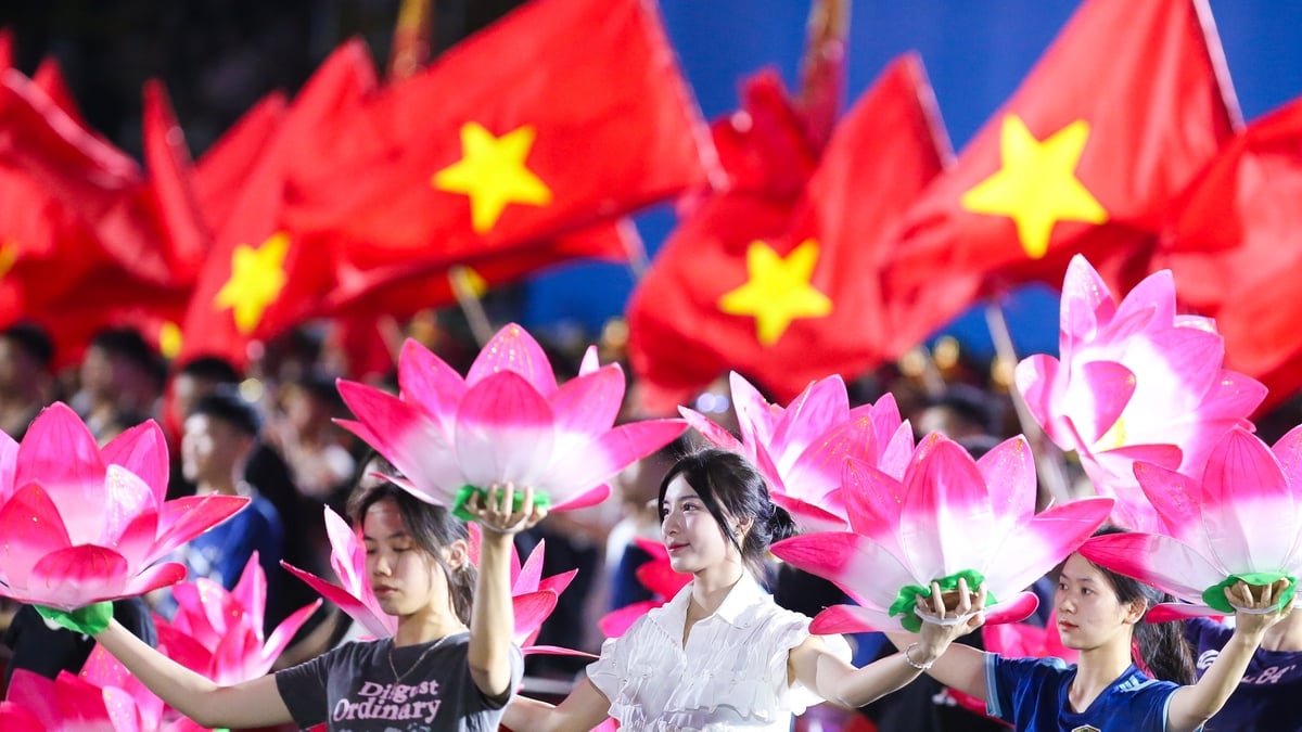 Sắc sen giữa rừng cờ
