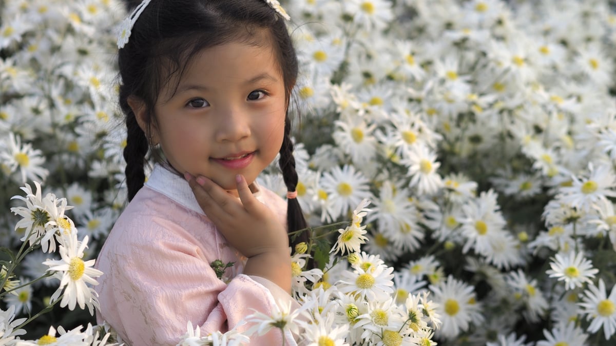 Hoạ mi nhí