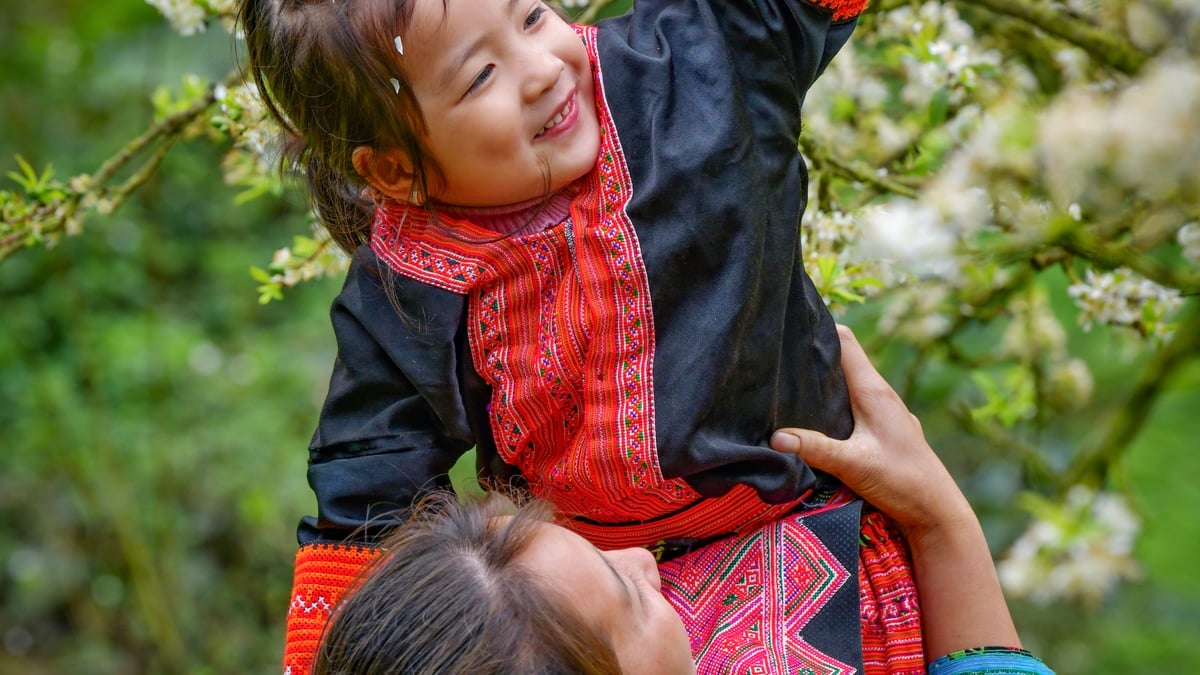 Mùa xuân của mẹ