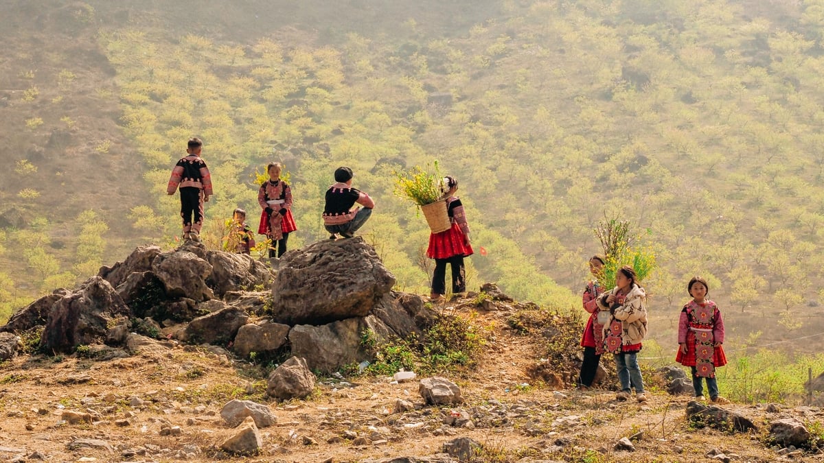 Mong chờ