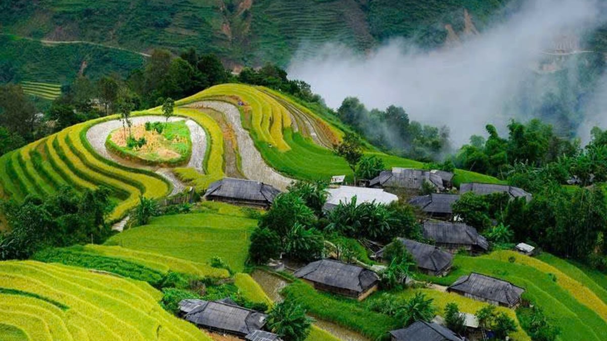 វាលរាបស្មើ Ha Giang (Tuyen Quang)