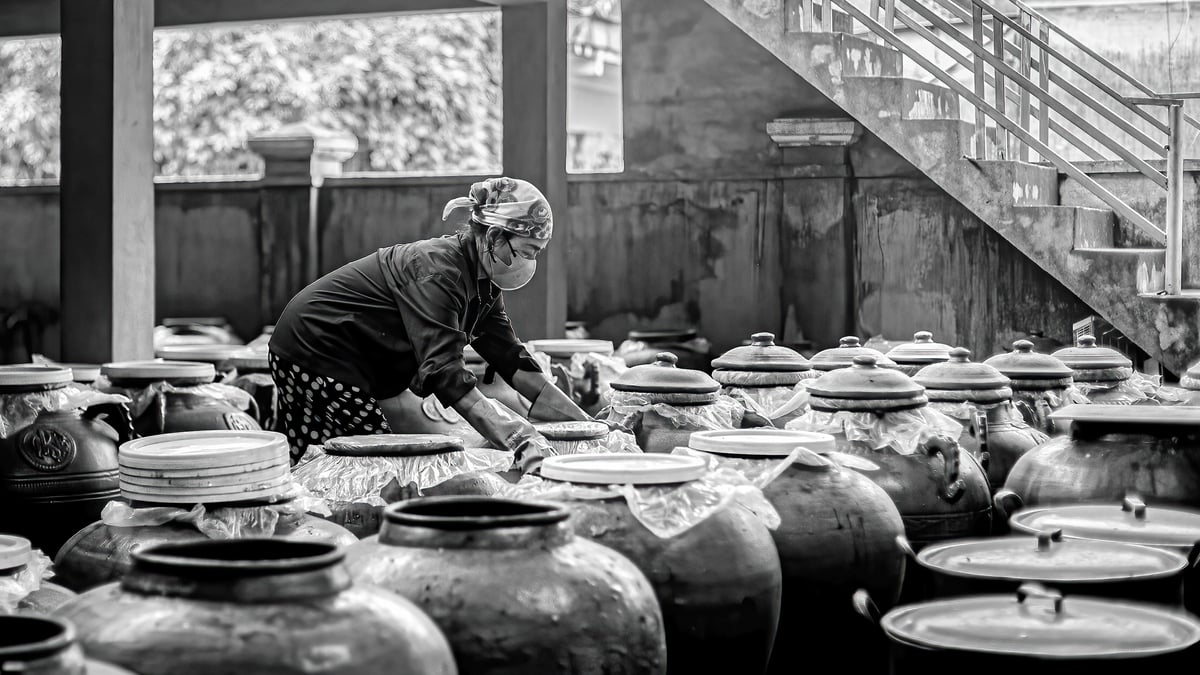 "ដៃដែលកាន់ព្រលឹងរបស់ណាំដាន់"