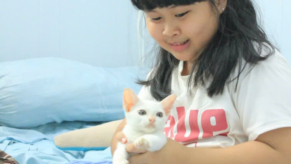 Tình Bạn