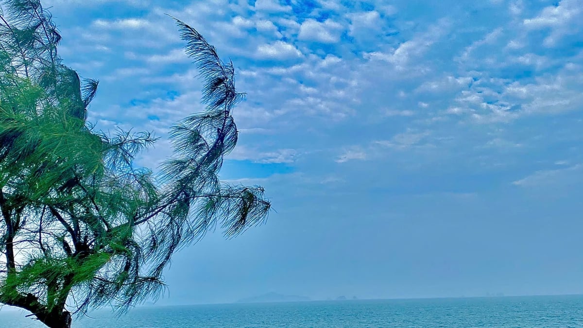 हरित शांति