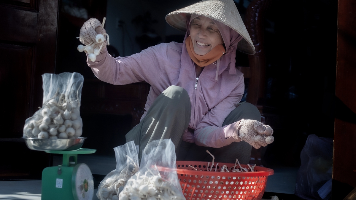 Menikmati Bawang Putih Ly Son