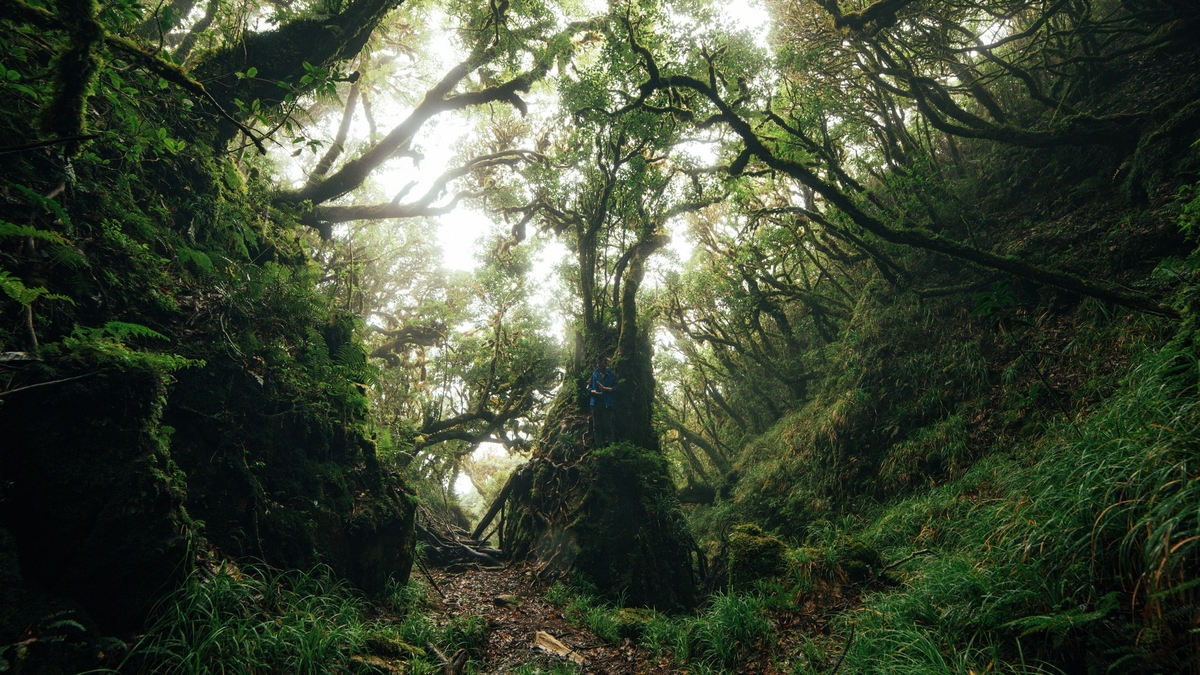 Đi tìm hoang sơ trên đỉnh Sa Mu