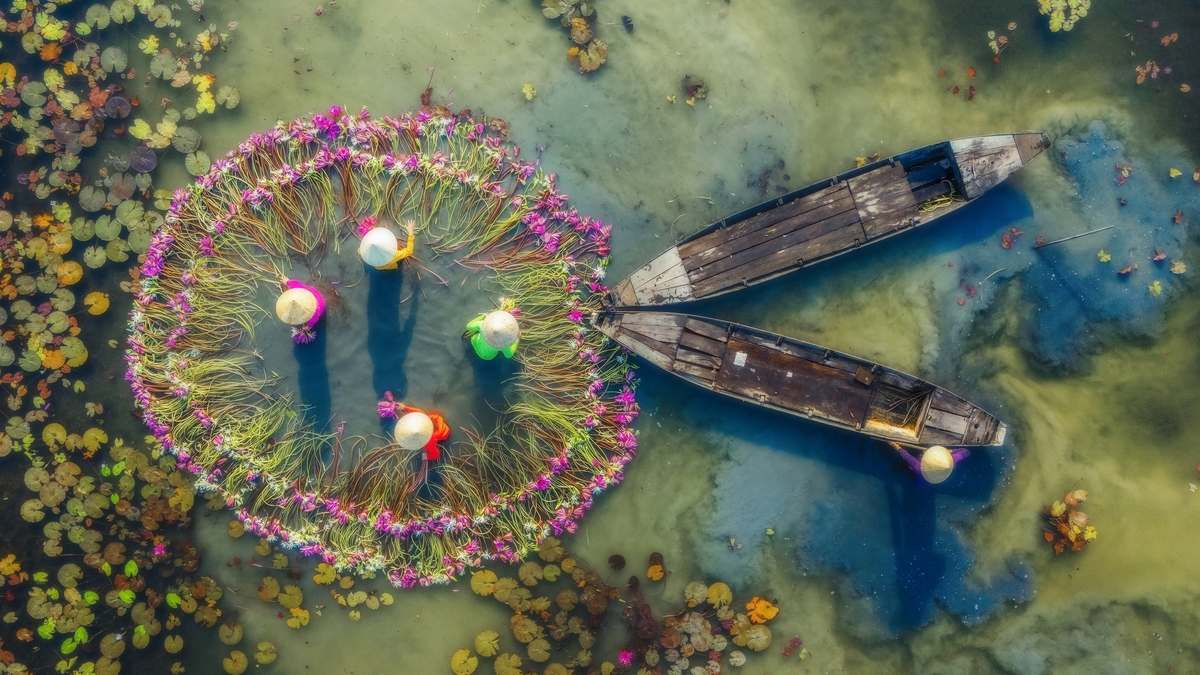 Waterlelies in het overstromingsseizoen