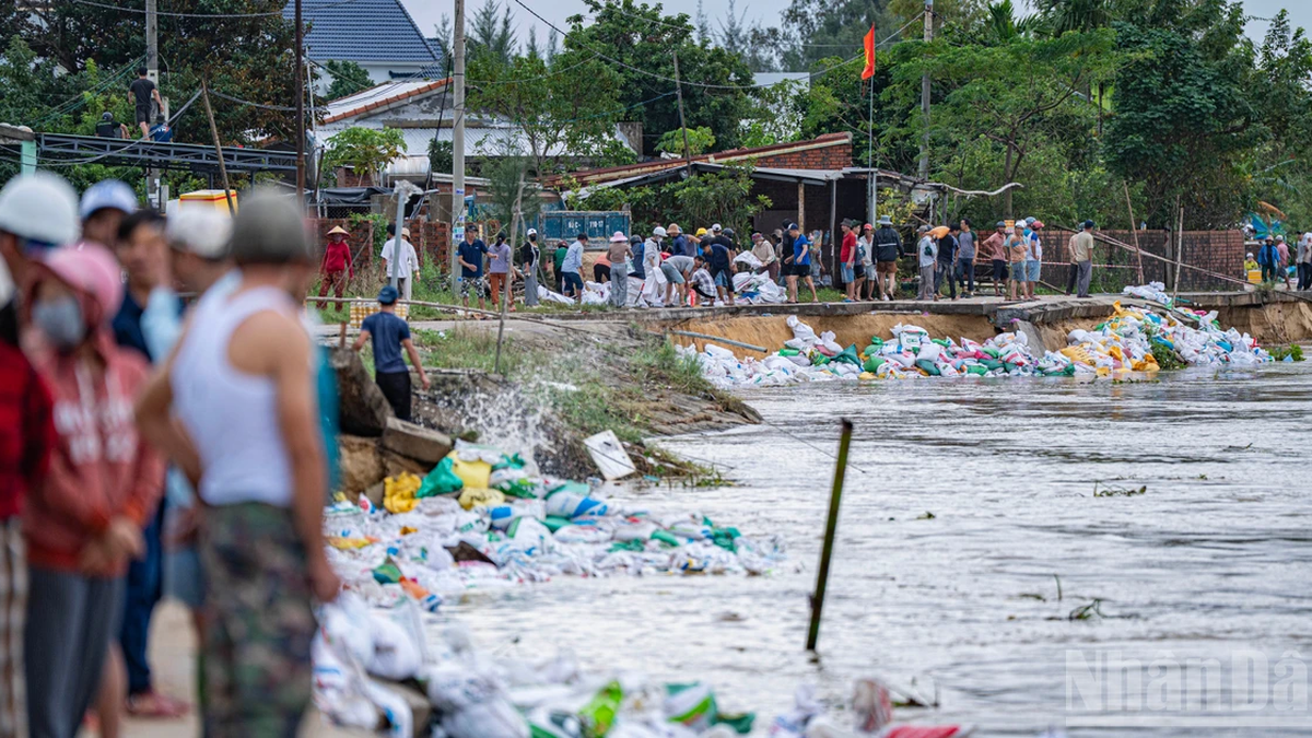 [Photo] Touching scene of thousands of people saving the embankment from the raging water