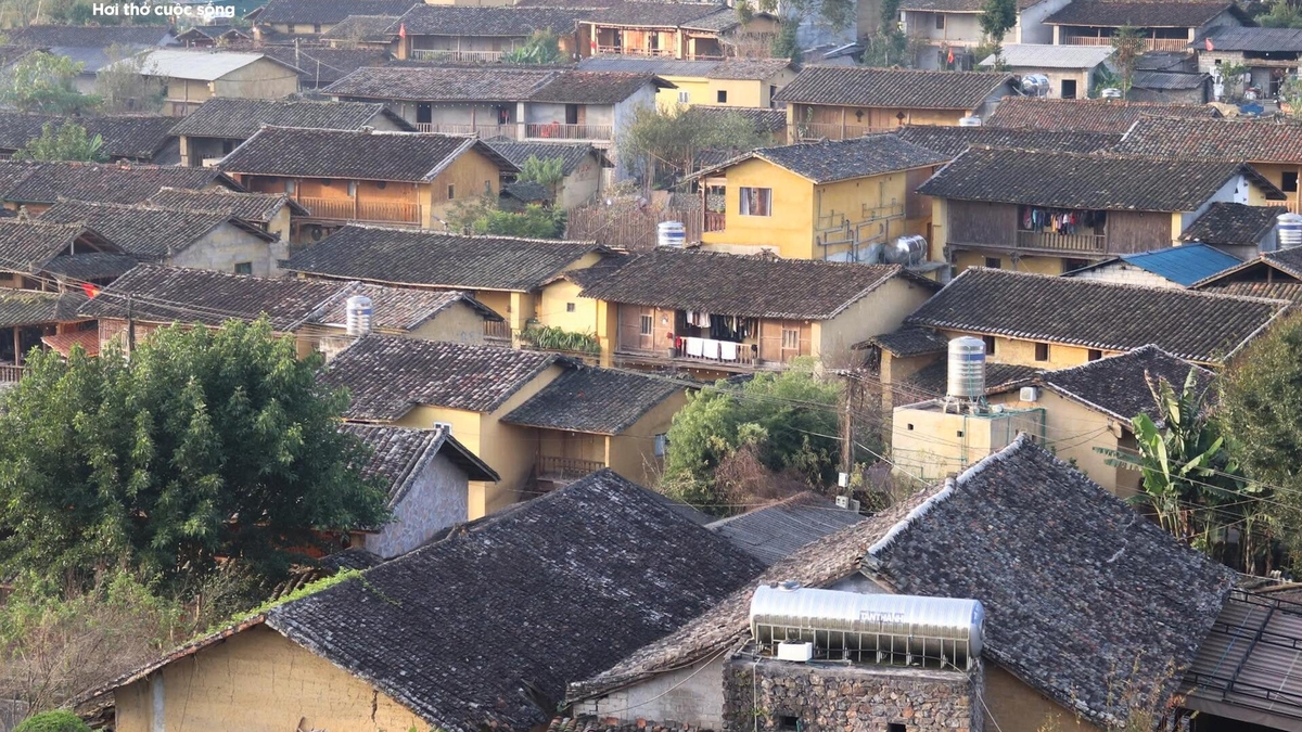 ভিয়েতনামের উত্তরাঞ্চলে অবস্থিত 'বিশ্বের সেরা পর্যটন গ্রাম'-এর মনোমুগ্ধকর সৌন্দর্য