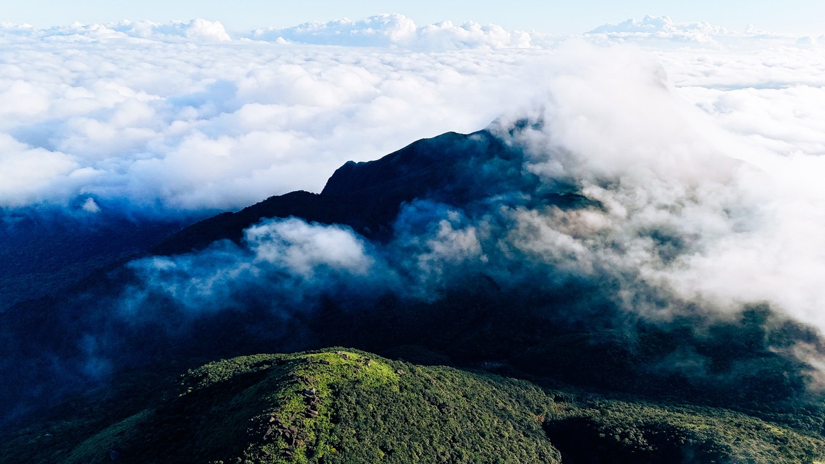 គយគន់ភ្នែករបស់អ្នកនៅលើសមុទ្រពពក និងព្រៃស្លែវេទមន្តនៅលើ "ដំបូល" នៃខេត្ត Quang Tri
