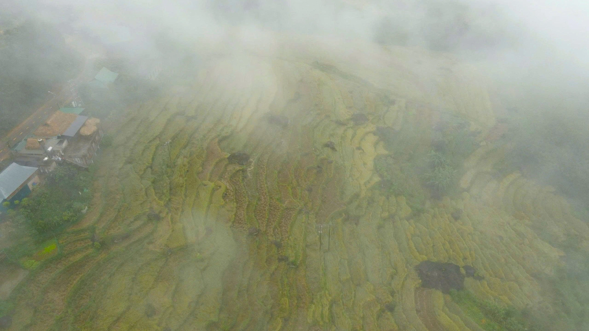 Contempler le village de Pu Luong dans la brume