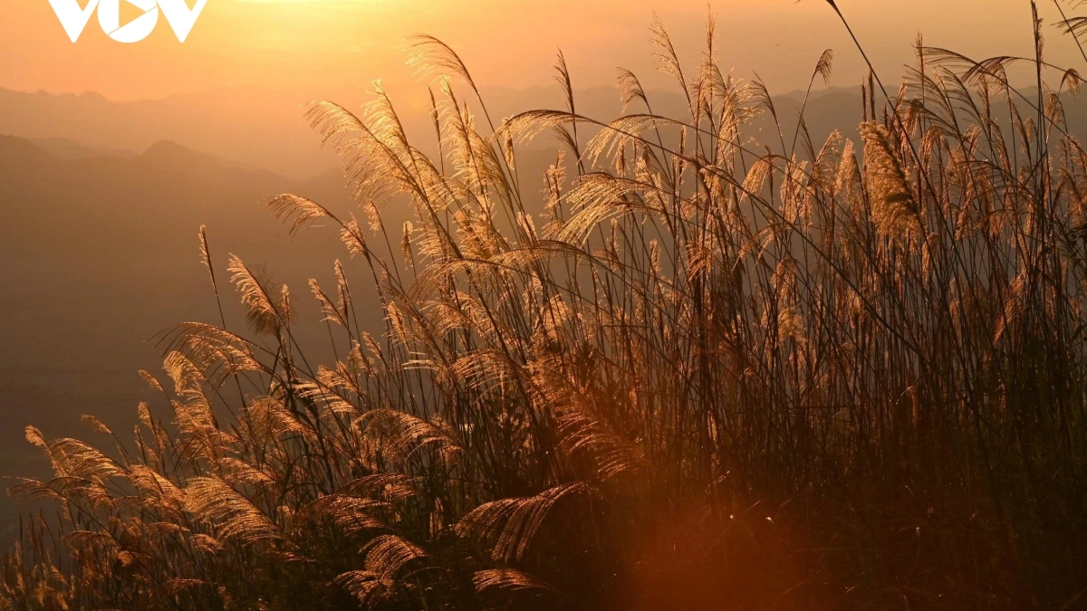 오후의 색채는 디엔비엔을 말로 표현할 수 없는 아름다움으로 뒤덮는다.