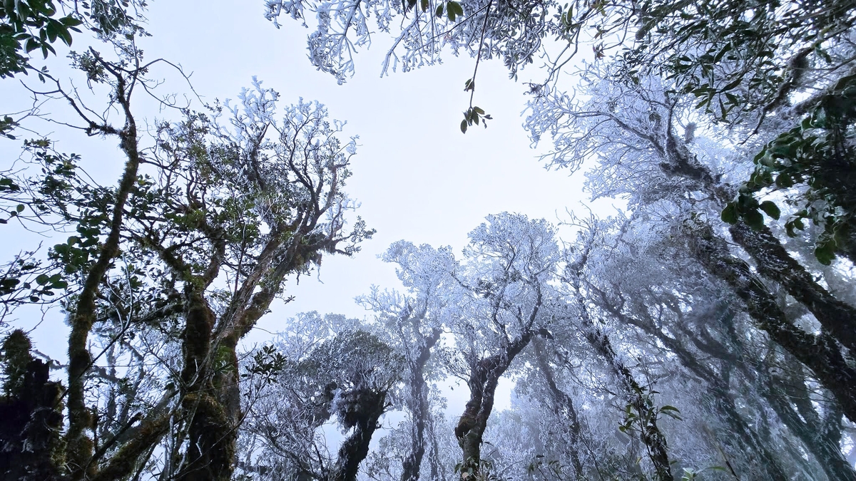 Os visitantes ficaram impressionados ao ver o gelo branco cobrindo o topo de Ta Xua, com a temperatura em apenas 0 graus Celsius.