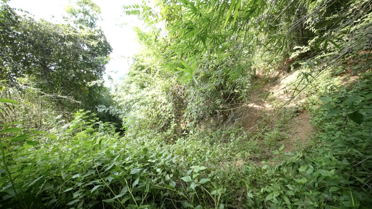 The battle of people's hearts at the Fatherland's border - National defense and border defense in the new situation