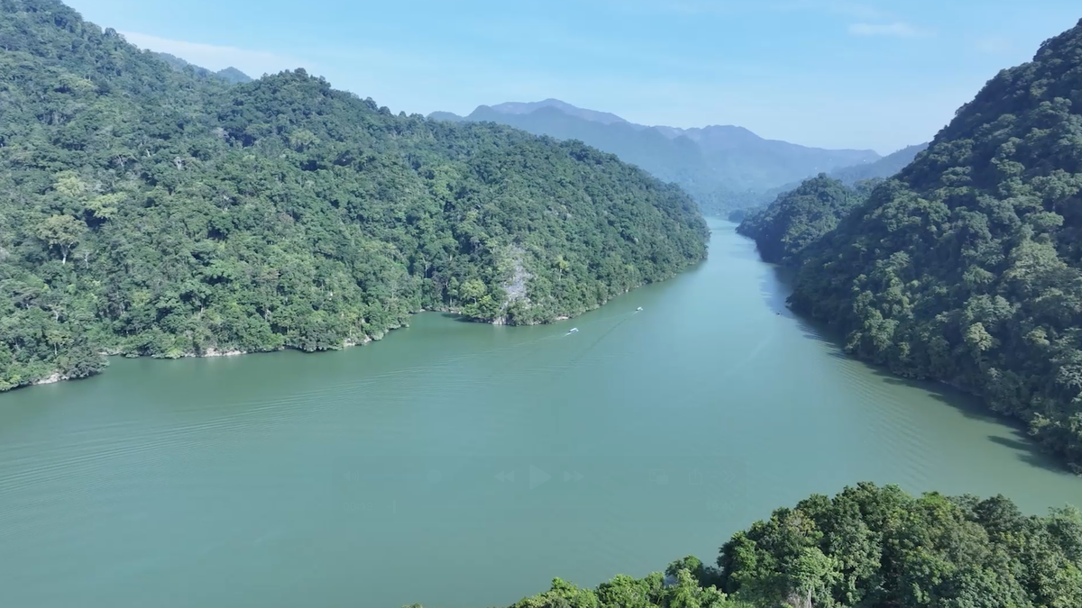 タイグエンの妖精の国の扉をノックする