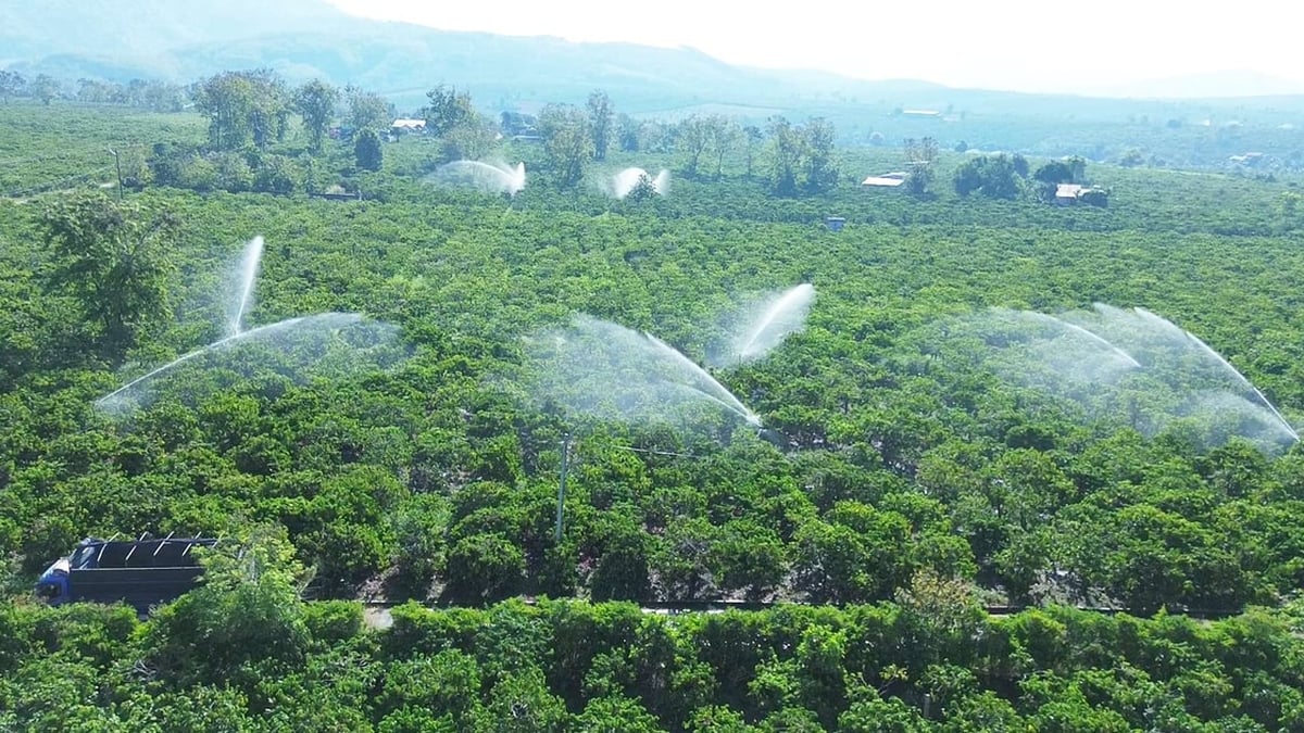 La production s'adapte au changement climatique