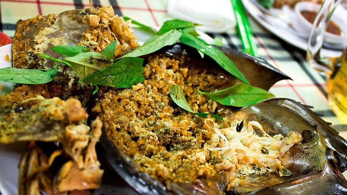 Irresistible delicacies from Sea Horsetail