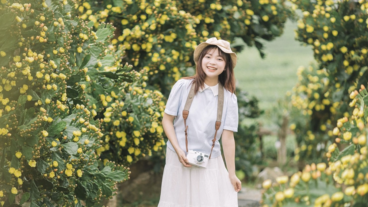 Vườn xương rồng 'có một không hai' ở Mộc Châu, nở hoa chi chít, hút khách thăm