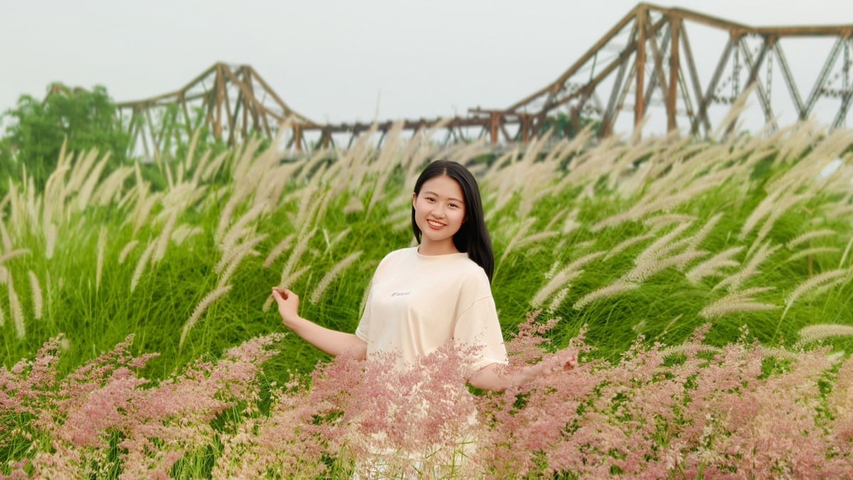 Bãi cỏ hồng giữa lòng Hà Nội đẹp thơ mộng không kém Đà Lạt, hút khách chụp ảnh