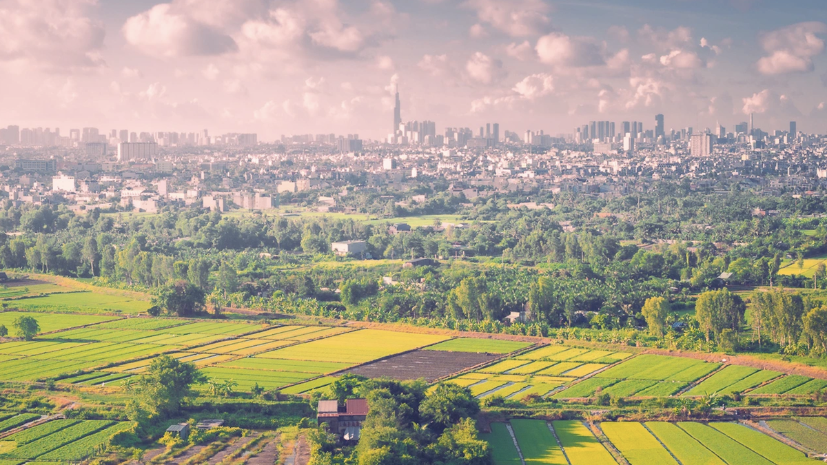 Blick auf Vietnams höchstes Gebäude von einem üppigen Gemüsefeld in Ho-Chi-Minh-Stadt