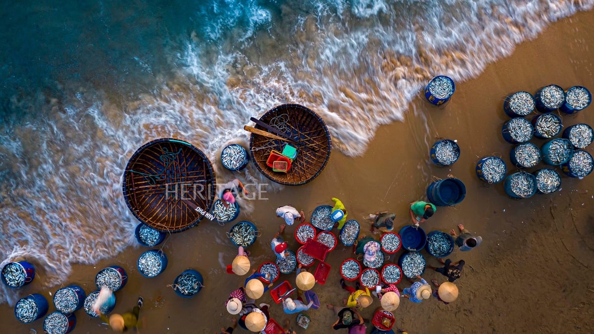 Visit Tam Tien fish market at dawn