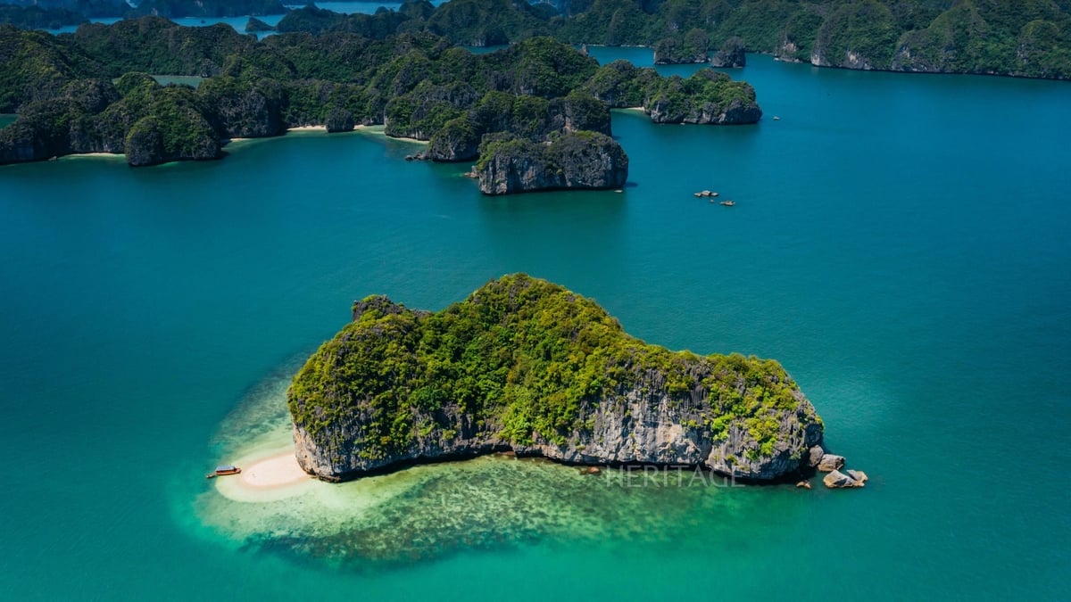 Thế giới hoang dã trên đảo Cát Bà