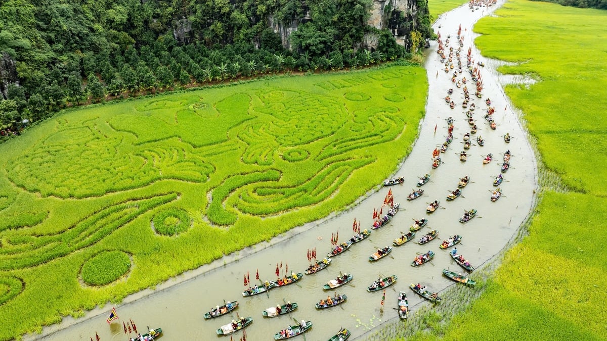 Los campos de arroz maduros llaman, Ninh Binh inaugura el festival "Tam Coc - Trang An Golden Color"