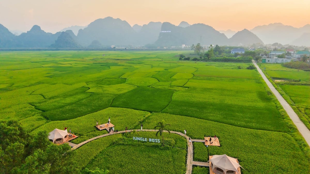 Quảng Bình: Độc đáo trải nghiệm du lịch giữa hương lúa đồng quê