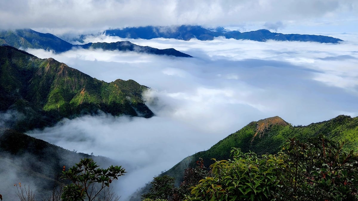 Địa điểm ‘trốn nóng’ xanh mướt, ngắm mây vờn thung lũng, cách Hà Nội 250km