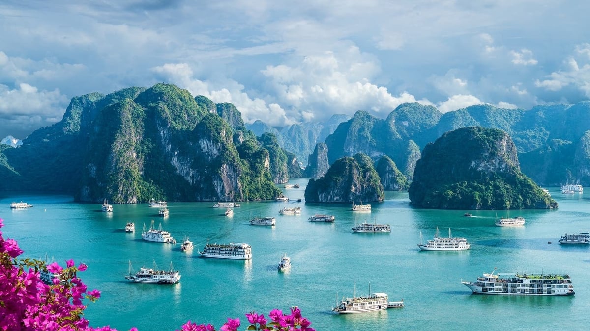 Báo Anh ca ngợi 8 điểm đến tuyệt vời nhất tại Việt Nam