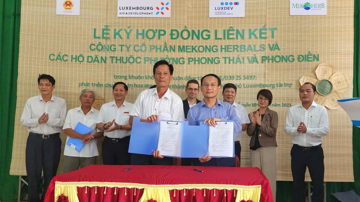 ចុះហត្ថលេខាលើកិច្ចសន្យាផលិត និងប្រើប្រាស់ផ្កាអ័រគីដេ