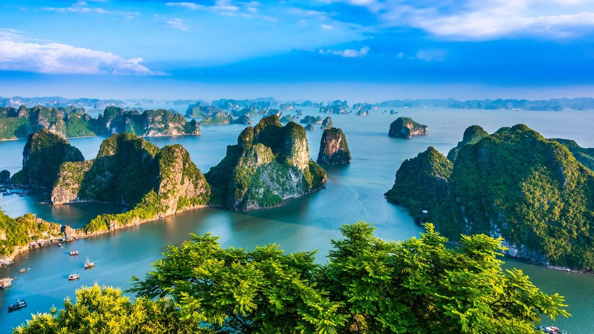 Le tourisme au Vietnam s'accélère pour accueillir 22 à 23 millions de visiteurs internationaux