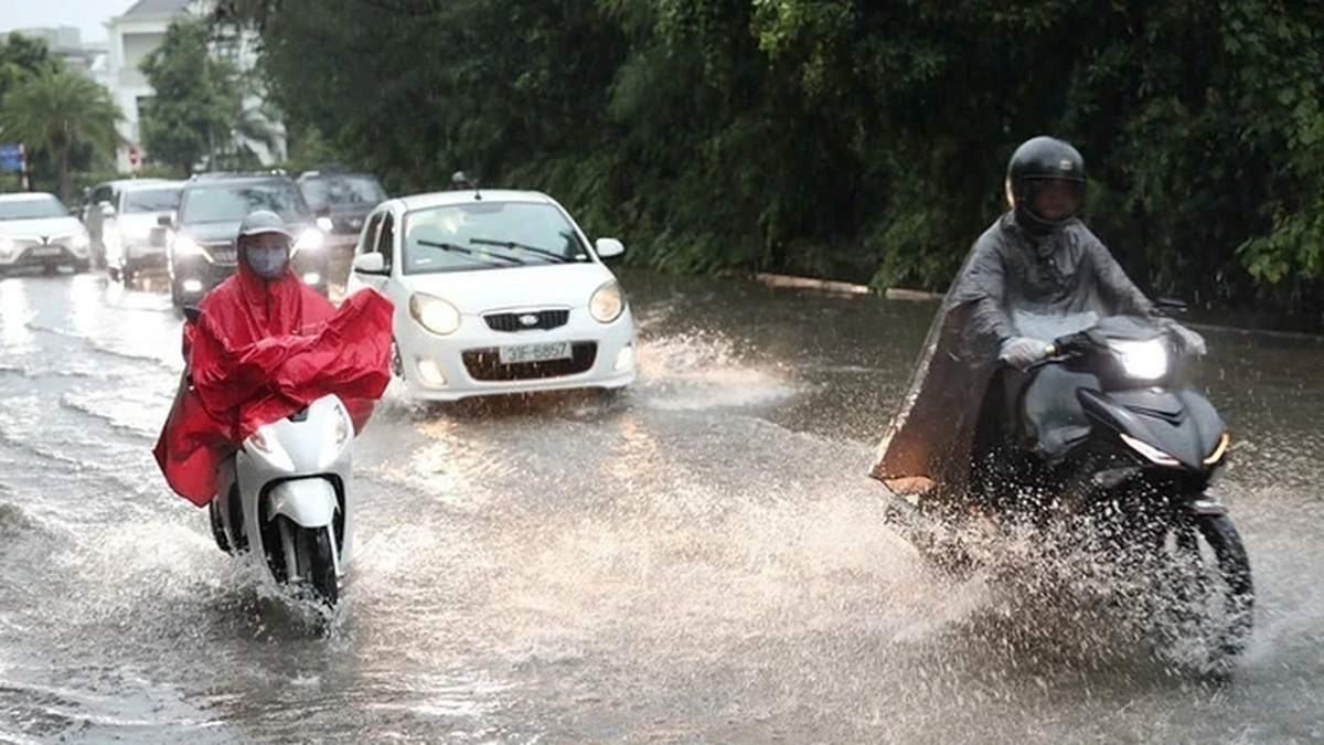 El tiempo el 11 de julio: fuertes lluvias generalizadas, alerta de inundaciones repentinas en las regiones norte y central.