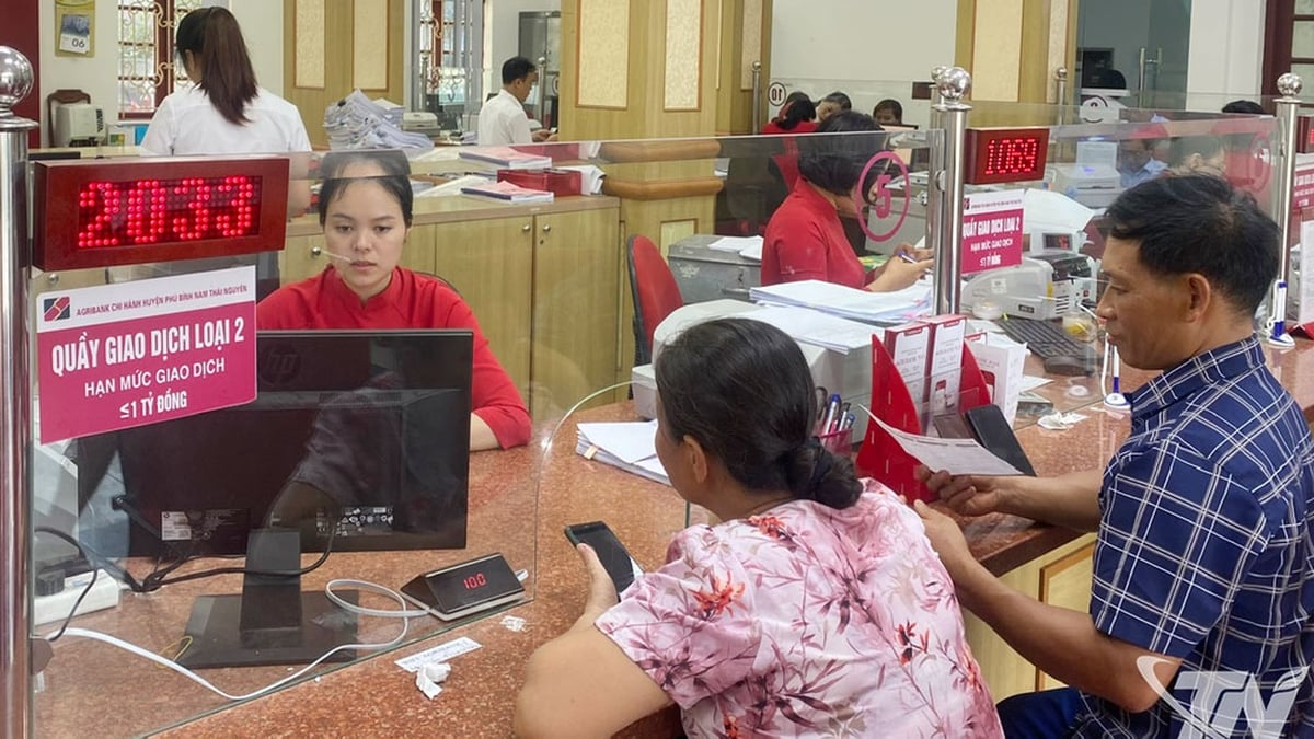 Thai Nguyen: El mayor crecimiento del crédito en los últimos cinco años
