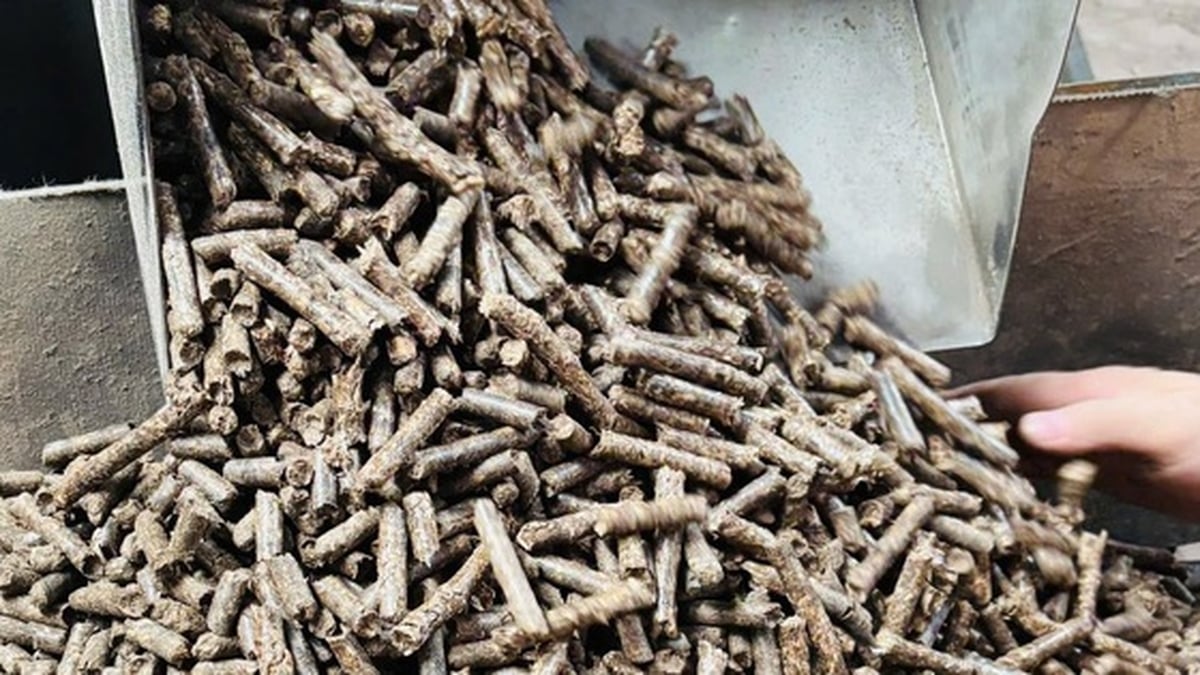 حبيبات الخشب: توحيد الإنتاج لتلبية طلب السوق