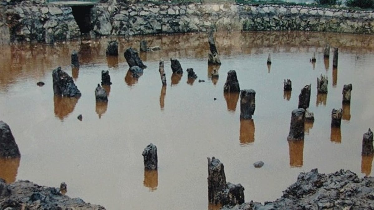 Promoting the scientific and cultural value of Bach Dang stake site heritage