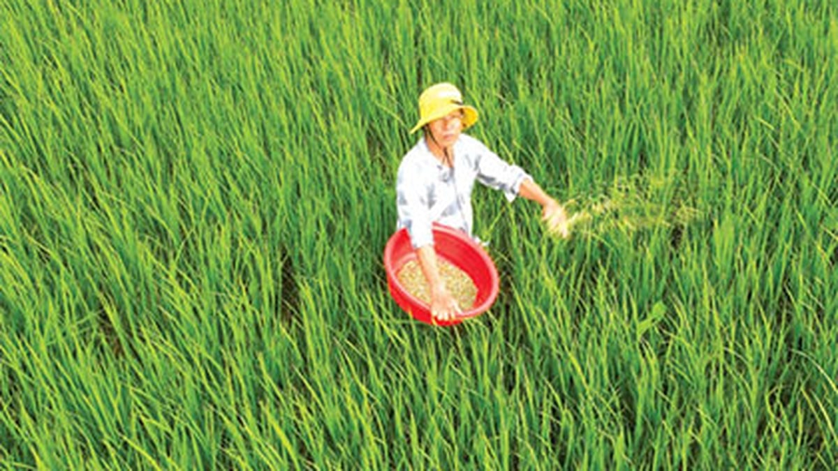 Agricultural material prices continued to increase slightly in the first 10 days of July.