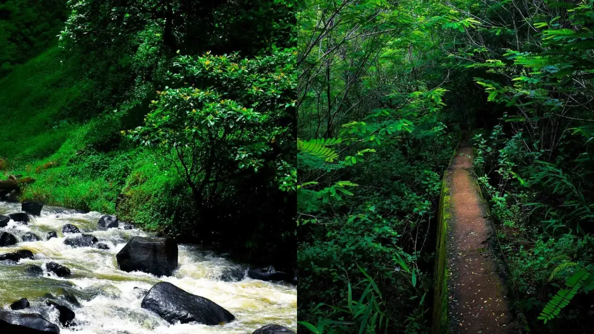 'គេចពីកំដៅ' នៅទឹកធ្លាក់ Lieng Nung