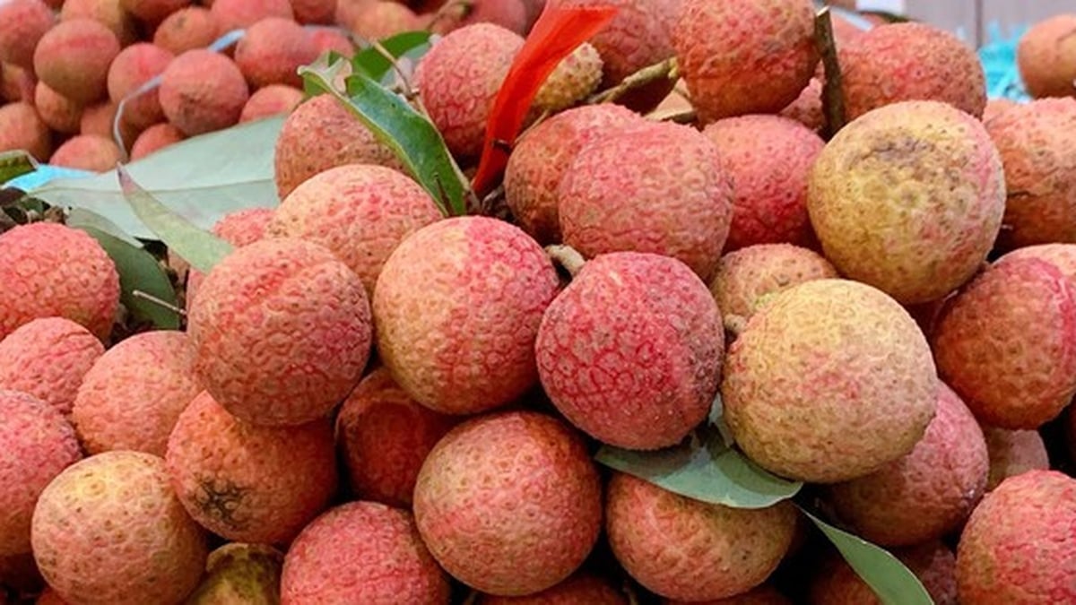 Los precios del lichi son súper baratos al final de la temporada, las mujeres comparten el secreto para conservar el lichi fresco durante todo un mes.
