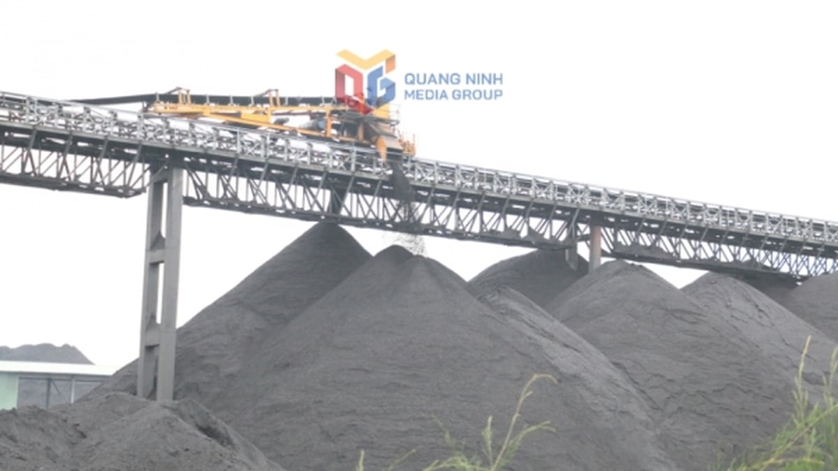 TKV: Maintain production pace, ensure growth target