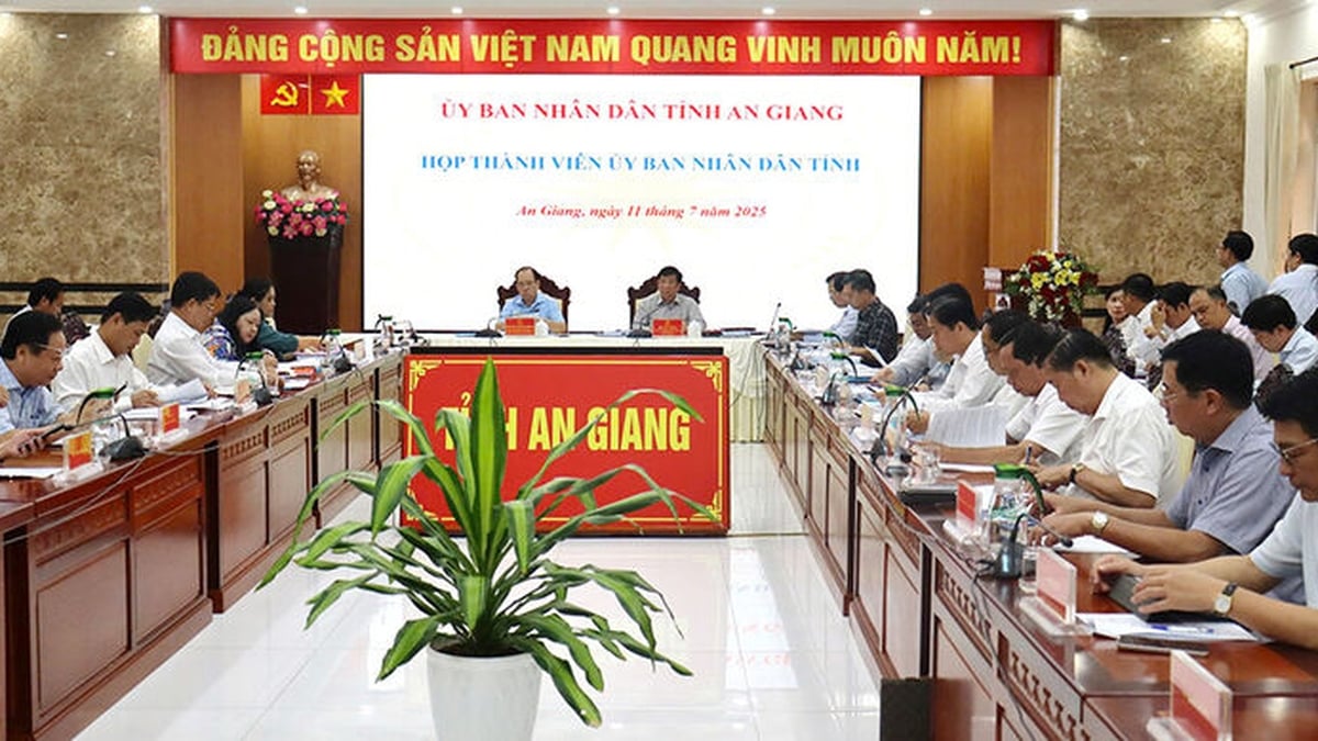 Members of An Giang Provincial People's Committee approved 8 documents to submit to the Provincial People's Council
