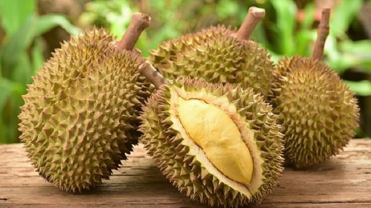 Durian price on July 12: Ri6 slightly decreased, Thai durian price remained stable