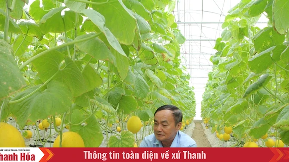 ไฮไลท์การผลิตทางการเกษตรด้วยเทคโนโลยีขั้นสูง
