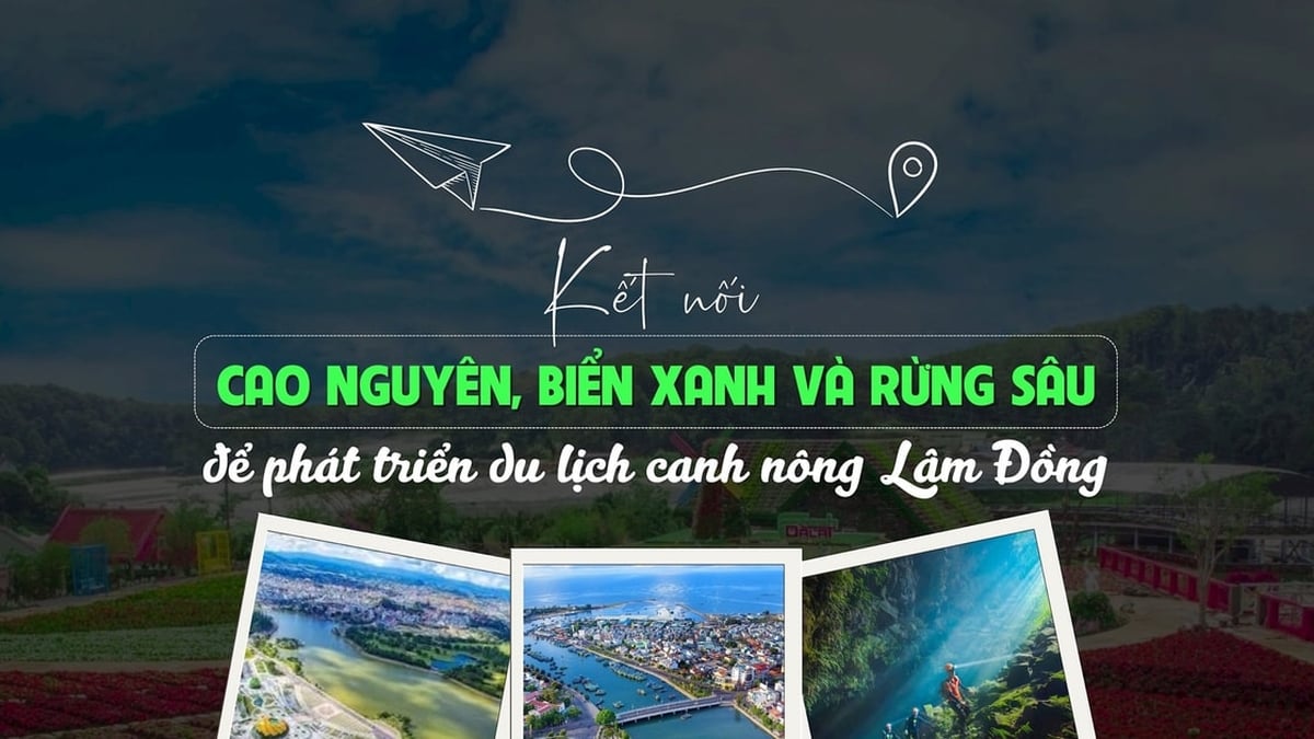 តភ្ជាប់ខ្ពង់រាប សមុទ្រខៀវ និងព្រៃជ្រៅ ដើម្បីអភិវឌ្ឍទេសចរណ៍កសិកម្ម Lam Dong