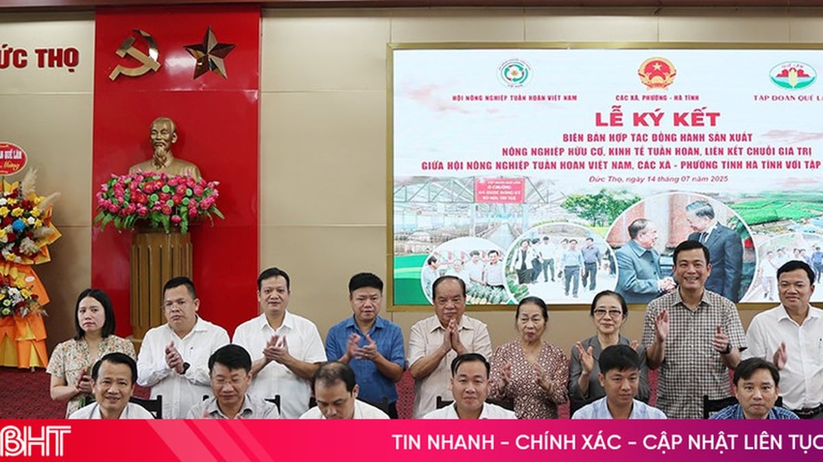Continue to maintain linkages in organic, circular agricultural production in Que Lam