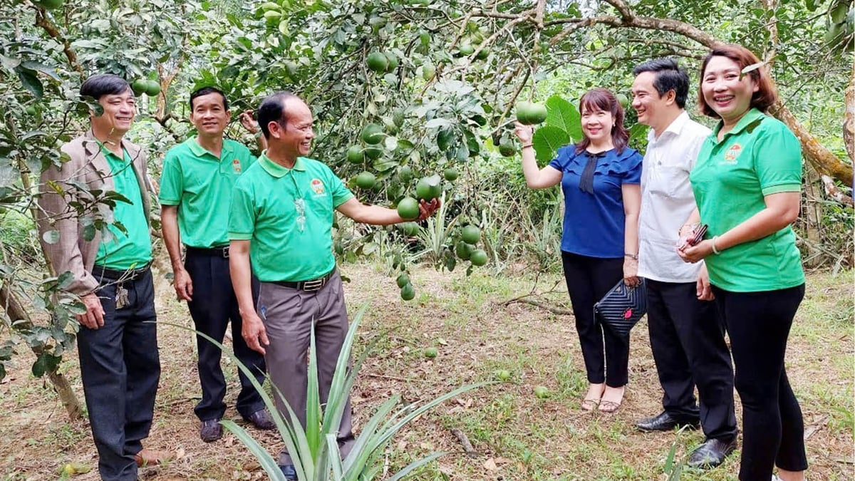 ផ្សព្វផ្សាយចលនាកសិករ