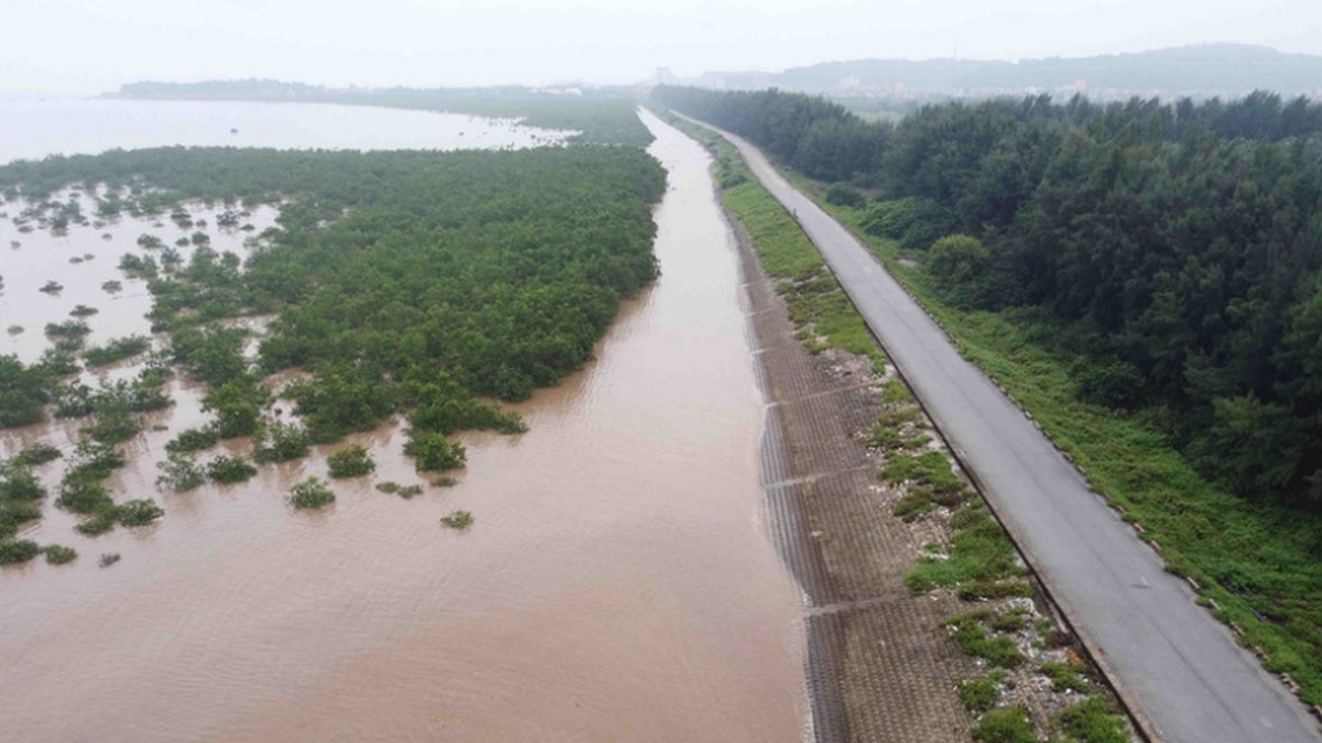 29の省と都市は2025年の洪水期に堤防の安全を確保する必要がある